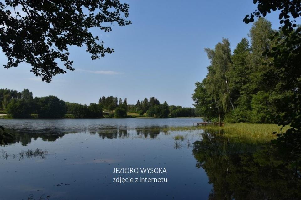 Villa Luksusowy- Nowoczesny Dom W Lesie à Kowalewo Extérieur photo